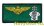 画像1: VFA-27 ROYAL MACES THROWBACKパイロットネームタグ（CHARGERS Ver.） (1)