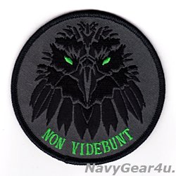 画像1: VAQ-135 BLACK RAVENS ”NON VIDEBUNT"レイブンヘッド・ショルダーパッチ（ベルクロ有無）