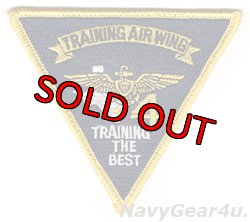 画像1: TRAINING AIR WING 4部隊パッチ