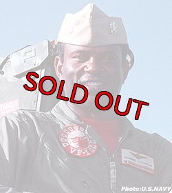 画像2: VF-1 WOLFPACK部隊パッチ（最終期）