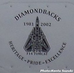 画像2: VFA-102 DIAMONDBACKS 部隊創設65周年記念ヘリテージプライドパッチ（F-14/ベルクロ有無）