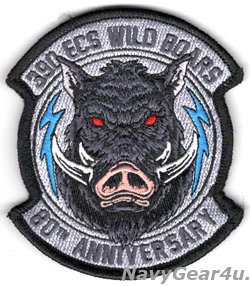 画像1: USAF 366FW/390ECS WILD BOARS 創設80周年記念部隊パッチ（ベルクロ付き）