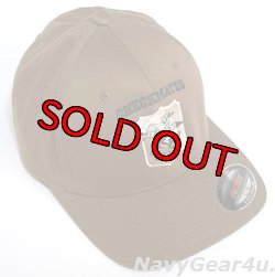 画像1: VFA-211 FIGHTING CHECKMATESオフィシャルボールキャップ（コヨーテ/FLEX FIT）