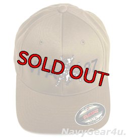 画像2: VFA-37 RAGIN' BULLSオフィシャルボールキャップ（コヨーテ/FLEX FIT）