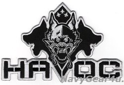 画像1: NAWDC EA-18G AEA WEAPONS SCHOOL"HAVOC"バックパッチ