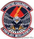 VMFA-251 THUNDERBOLTS INTELLIGENCEパッチ（ベルクロ付き）