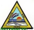 FIGHTER WING PACIFIC FLEET部隊パッチ（デッドストック）