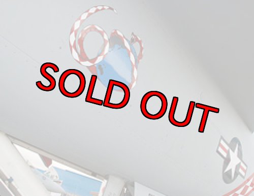 画像6: VFA-102 DIAMONDBACKS 部隊創設60周年記念限定T-シャツVer.1（ネイビー）