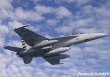 画像2: VX-23 SALTY DOGS F/A-18E/F 新IRSTポッド フライトテストパッチ