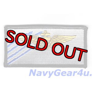 画像: VAQ-142 GRAY WOLVESパイロットネームタグ（現行Ver.）