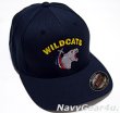 画像1: VFA-131 WILDCATSオフィシャルボールキャップ（FLEX FIT）