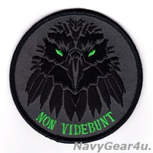 画像: VAQ-135 BLACK RAVENS ”NON VIDEBUNT"レイブンヘッド・ショルダーパッチ（ベルクロ有無）