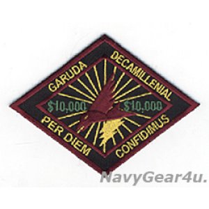 画像: VAQ-134 GARUDAS日当1万ドルジョークパッチ
