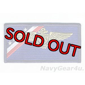 画像: VAQ-140 PATRIOTS パイロットネームタグ