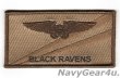 画像1: VAQ-135 BLACK RAVENS NFO（EWO）ネームタグ（デザート）
