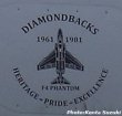 画像3: VFA-102 DIAMONDBACKS 部隊創設65周年記念ヘリテージプライドパッチ（F4D/ベルクロ有無）