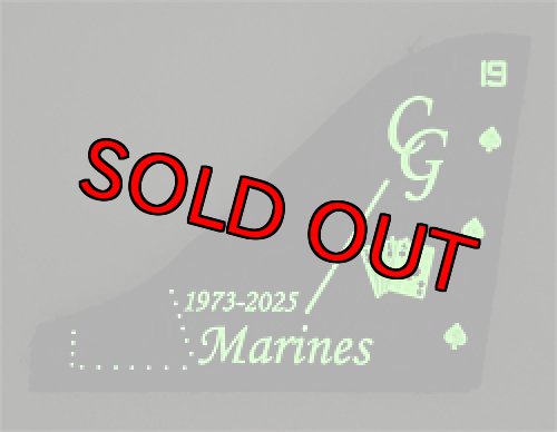 画像2: VMA-231 ACE OF SPADES 1973-2025 ハリアー運用終了記念PVC垂直尾翼パッチ（ベルクロ付き）