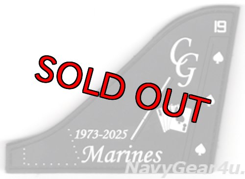 画像1: VMA-231 ACE OF SPADES 1973-2025 ハリアー運用終了記念PVC垂直尾翼パッチ（ベルクロ付き）