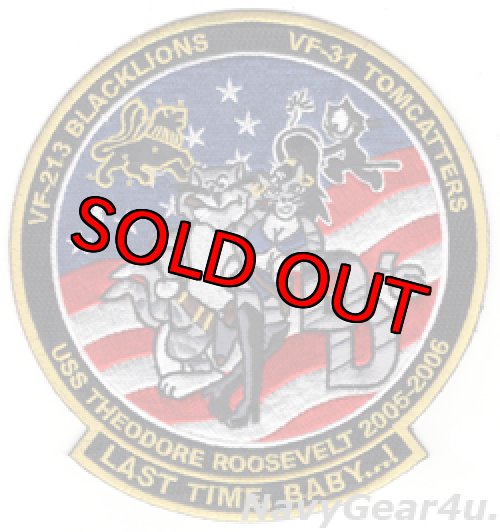 画像1: VF-213/VF-31ラストトムキャットクルーズ・パッチ2005-06（ラージ/デッドストック）