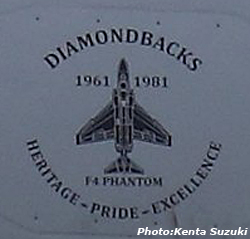 画像2: VFA-102 DIAMONDBACKS 部隊創設65周年記念ヘリテージプライドパッチ（F-4/ベルクロ有無）