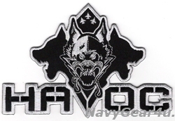画像1: NAWDC EA-18G AEA WEAPONS SCHOOL"HAVOC"バックパッチ