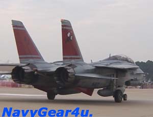 画像: NAS OCEANA 2006 AIRSHOW "LAST AIRSHOW OF F-14" DVD